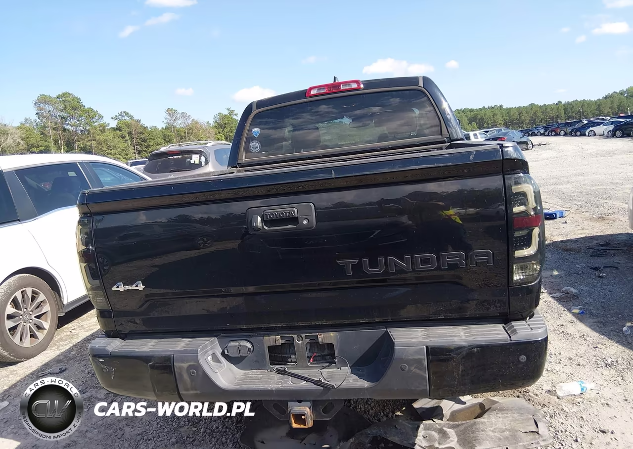 2020 Toyota Tundra Platinum VIN:5TFAY5F16LX903923 - 16