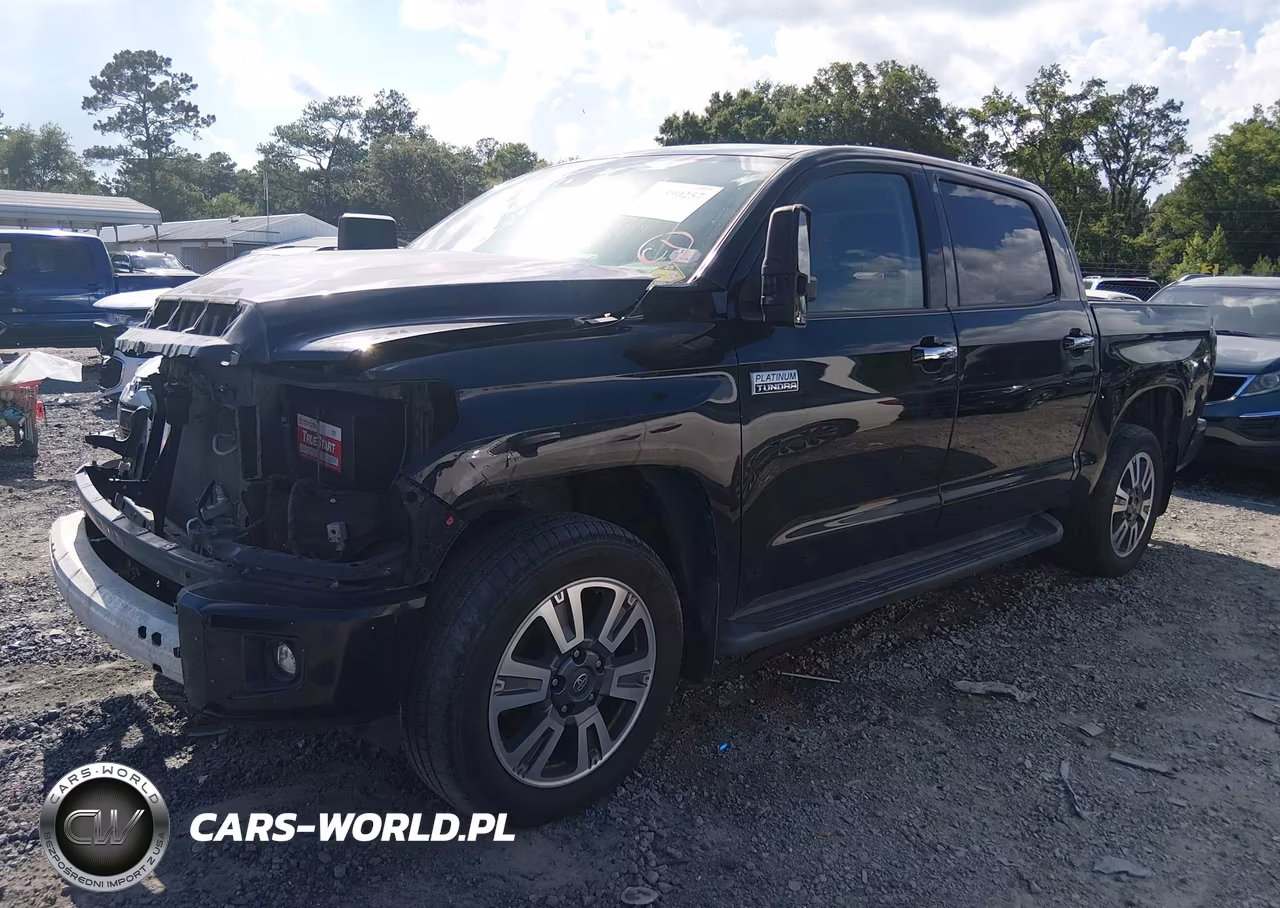 2020 Toyota Tundra Platinum VIN:5TFAY5F16LX903923 - 2