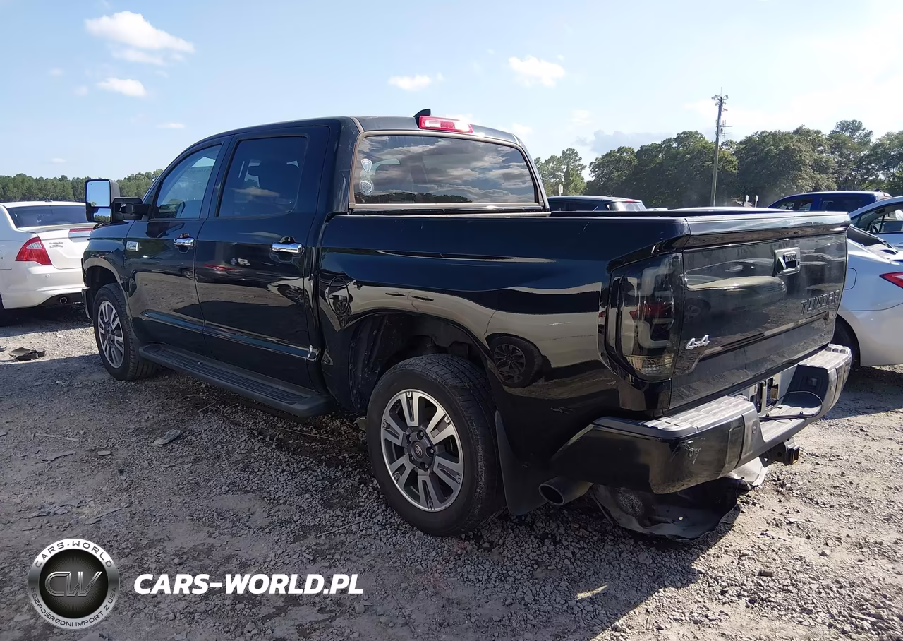 2020 Toyota Tundra Platinum VIN:5TFAY5F16LX903923 - 3