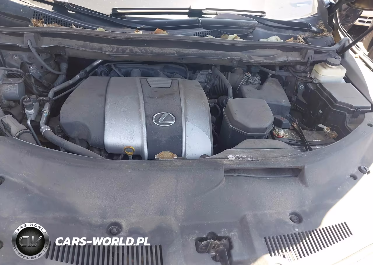 2016 Lexus Rx 350 VIN:2T2BZMCA7GC049198 - 10