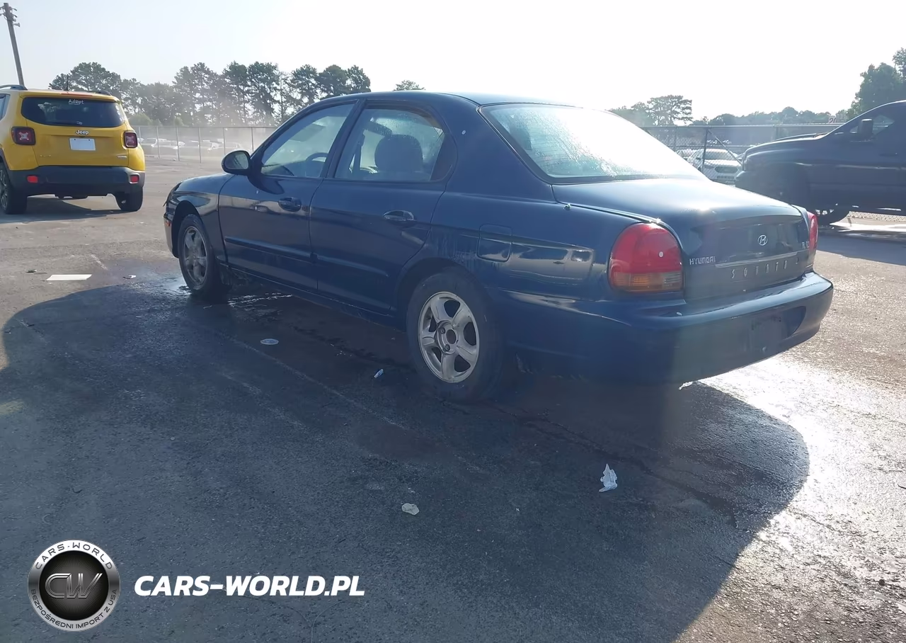1999 Hyundai Sonata Gls VIN:KMHWF35V8XA133717 - 3