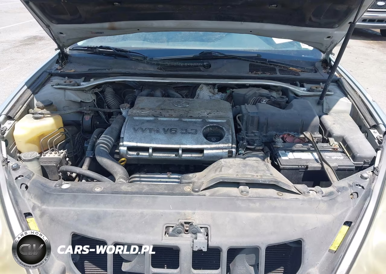 2006 Lexus Es 330 VIN:JTHBA30G665145123 - 10