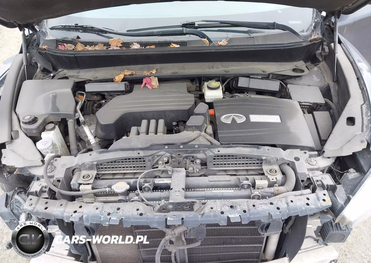 2014 Infiniti Qx60 Hybrid VIN:5N1CL0MM1EC526723 - 10