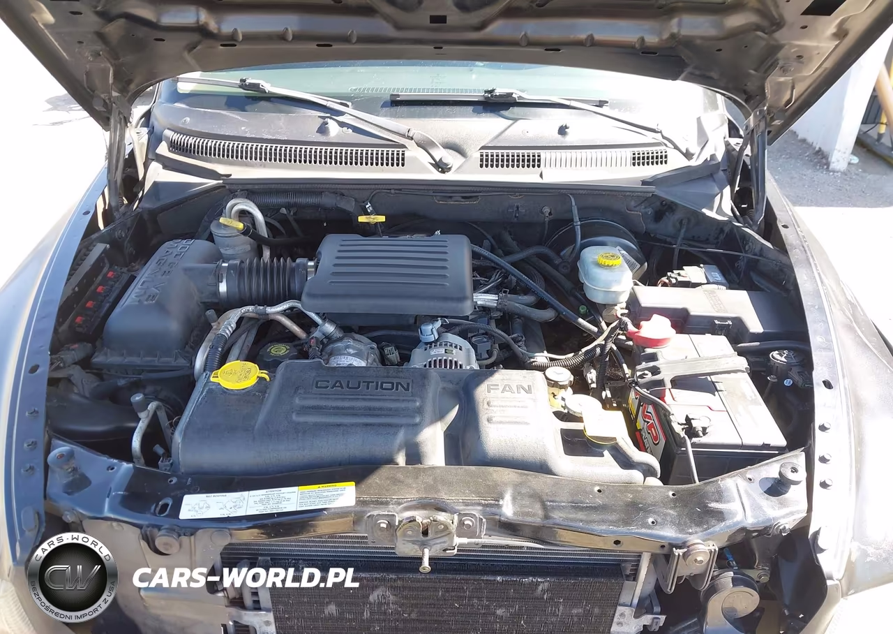 2003 Dodge Dakota Sport-Sxt VIN:1D7HL38N13S196363 - 10