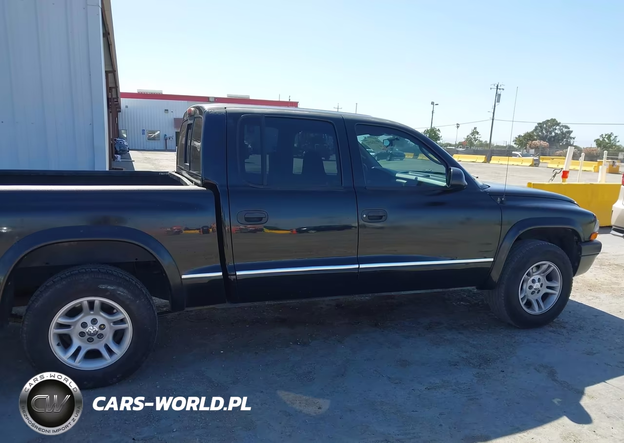 2003 Dodge Dakota Sport-Sxt VIN:1D7HL38N13S196363 - 13