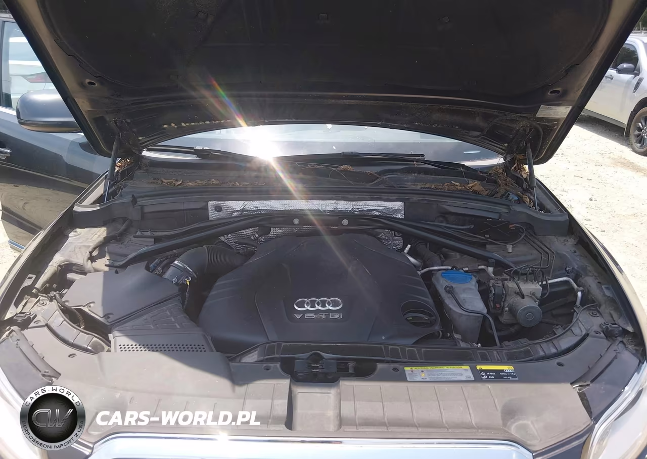 2014 Audi Q5 3.0 Tdi Premium Plus VIN:WA1CMAFP3EA010593 - 10