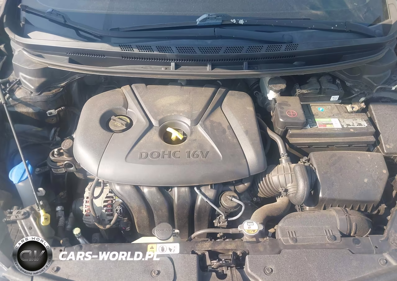 2016 Kia Forte Lx VIN:KNAFX4A6XG5549621 - 10