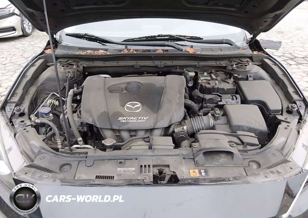 2014 Mazda Mazda3 I Sport VIN:3MZBM1U74EM113817 - 10