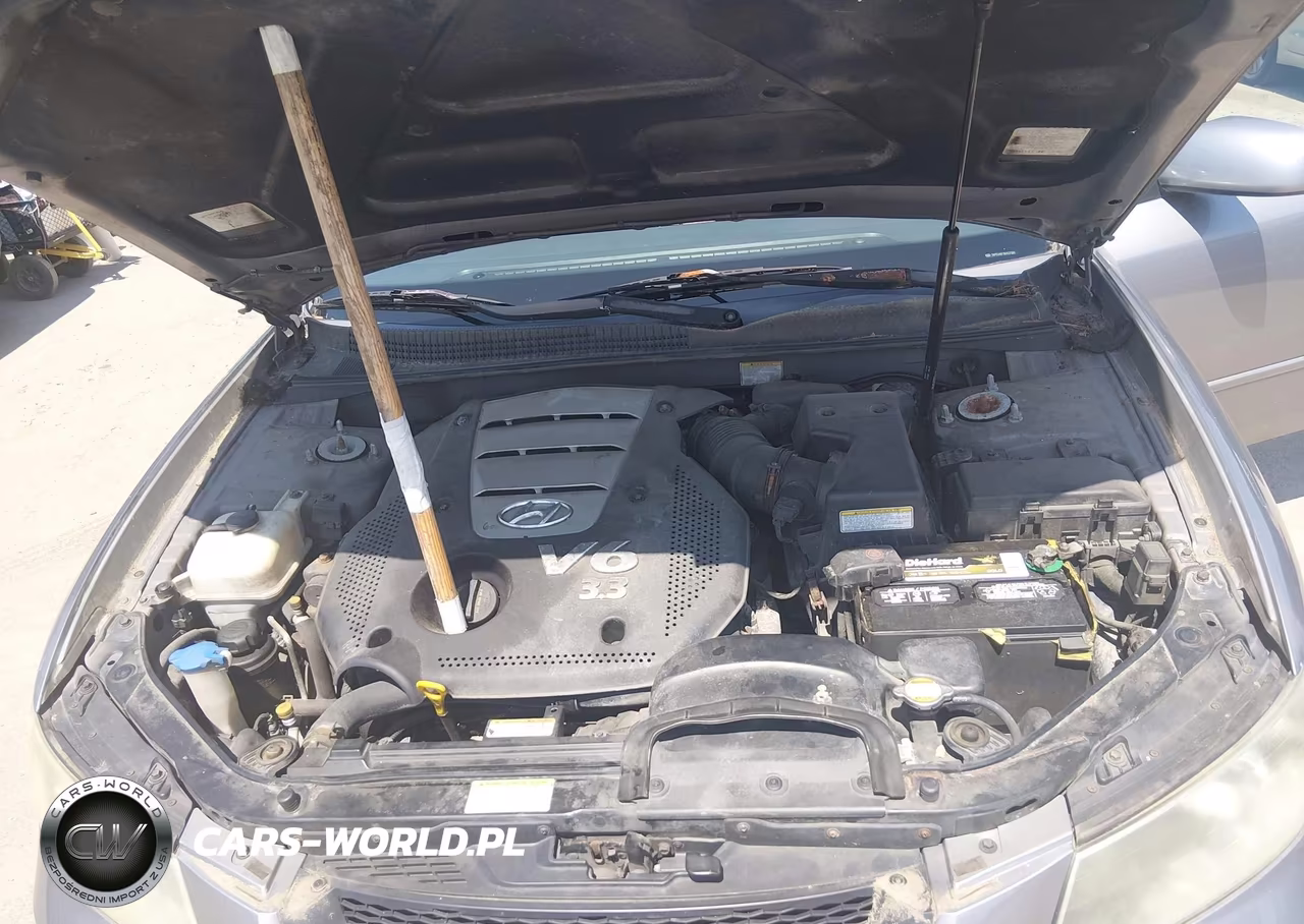 2006 Hyundai Sonata Gls V6-Lx V6 VIN:5NPEU46F16H037289 - 10