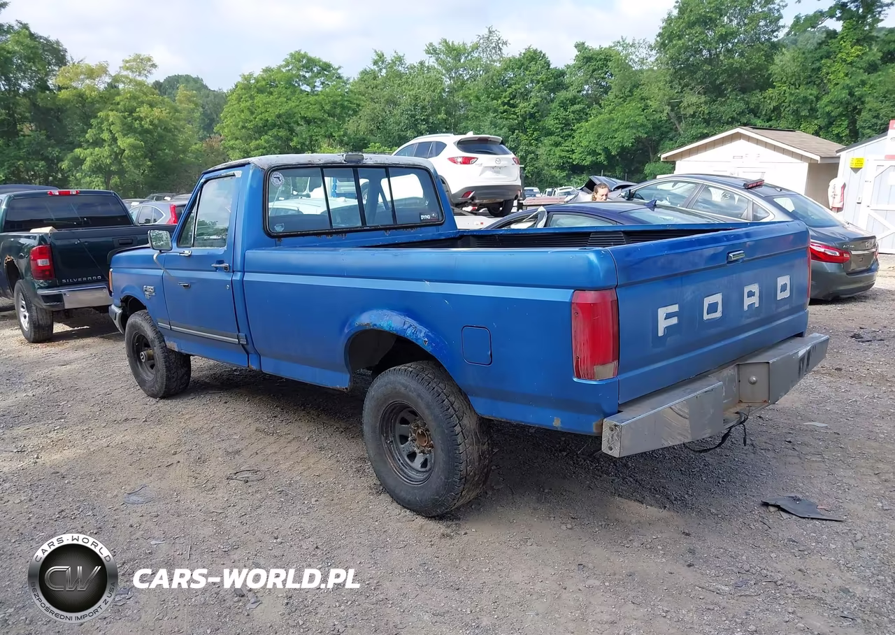 1990 Ford F150 VIN:1FTEF14N5LNB24465 - 3