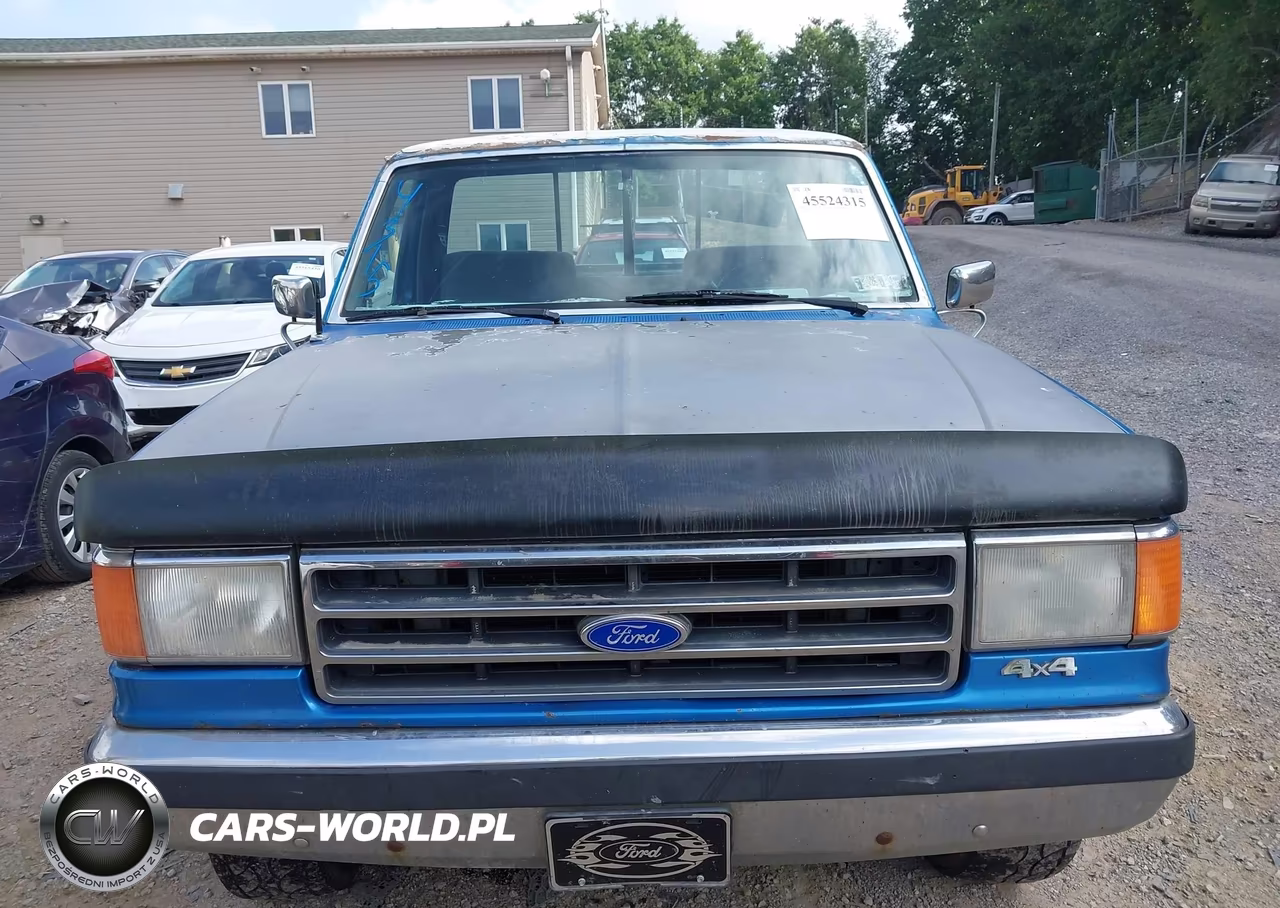 1990 Ford F150 VIN:1FTEF14N5LNB24465 - 6