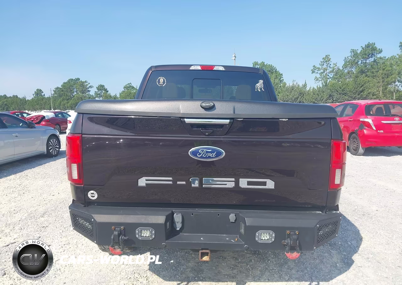 2018 Ford F-150 King Ranch-Lariat-Platinum-Xl-Xlt VIN:1FTEW1E56JFC52543 - 16