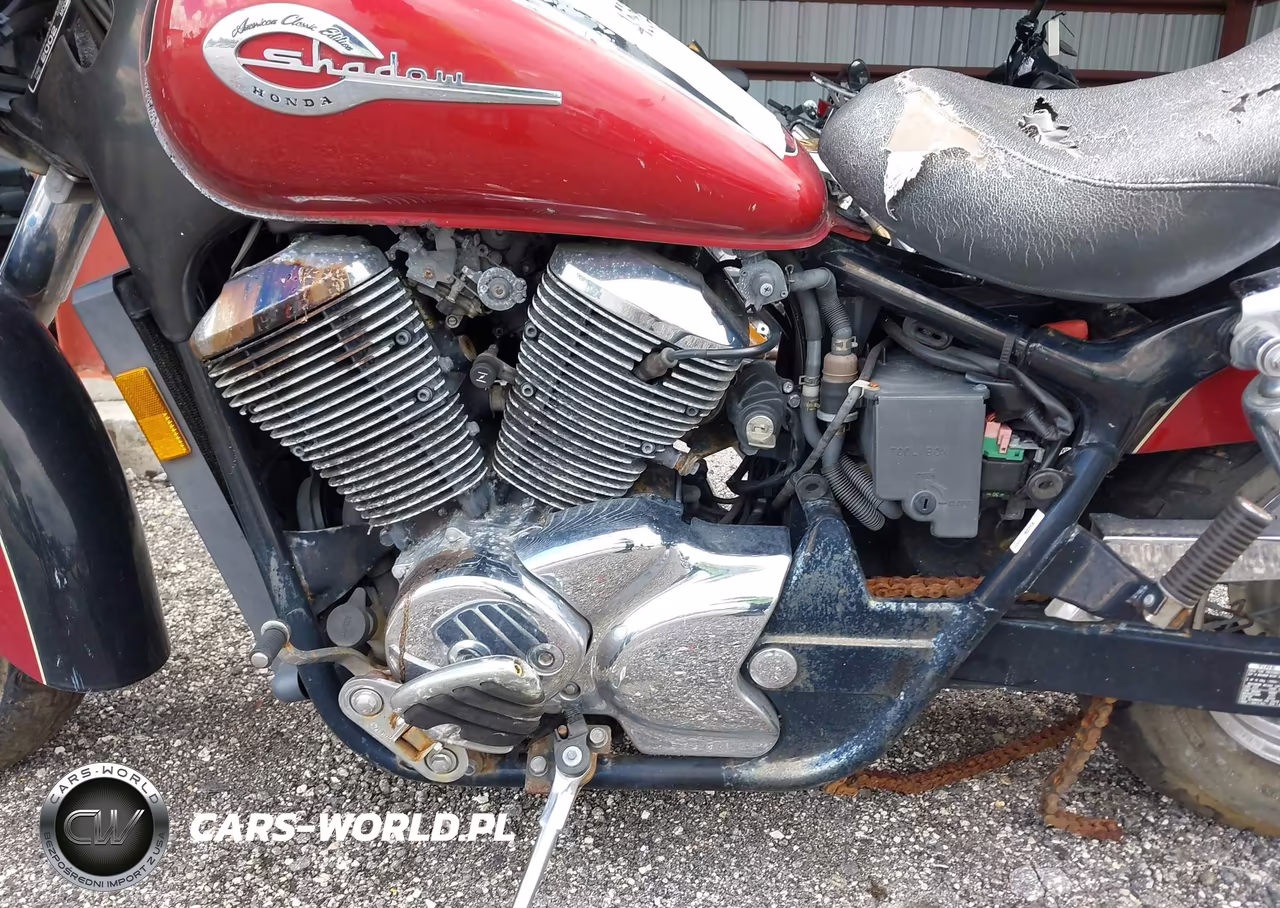 2002 Honda Vt750 Cdc VIN:JH2RC446X2M613265 - 9