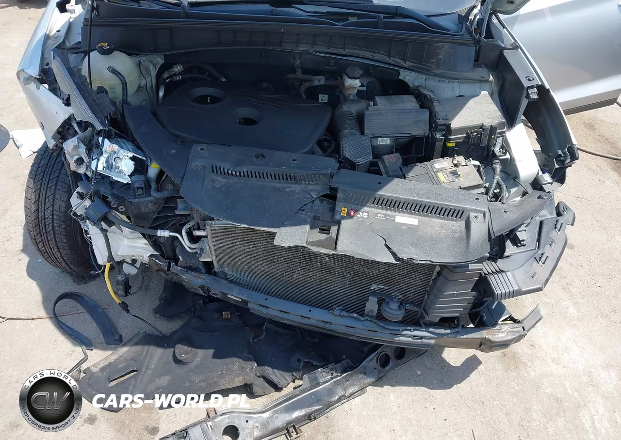 2019 Hyundai Tucson Se VIN:KM8J2CA41KU007533 - 10