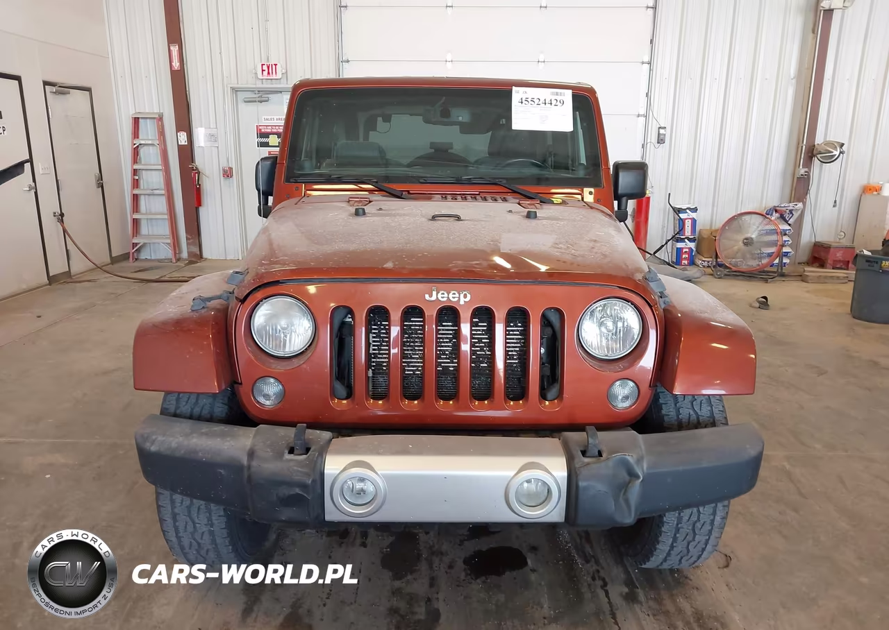 2014 Jeep Wrangler Sahara VIN:1C4AJWBG9EL248168 - 12