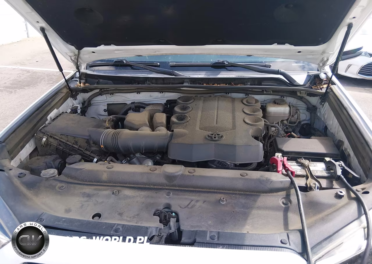 2016 Toyota 4Runner Sr5 Premium VIN:JTEBU5JR9G5317811 - 10