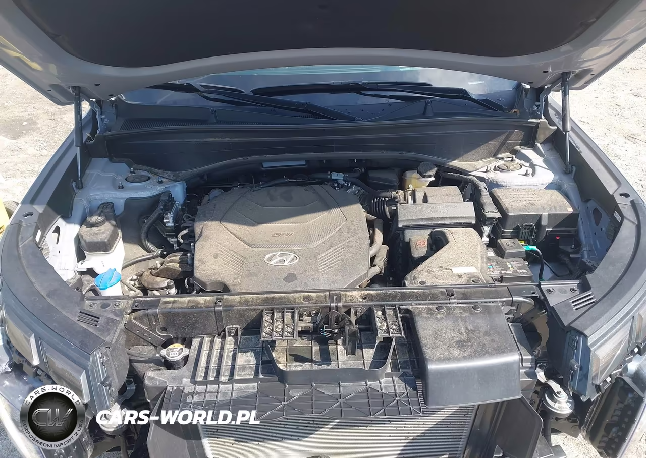2024 Hyundai Palisade Limited VIN:KM8R54GE2RU756447 - 10