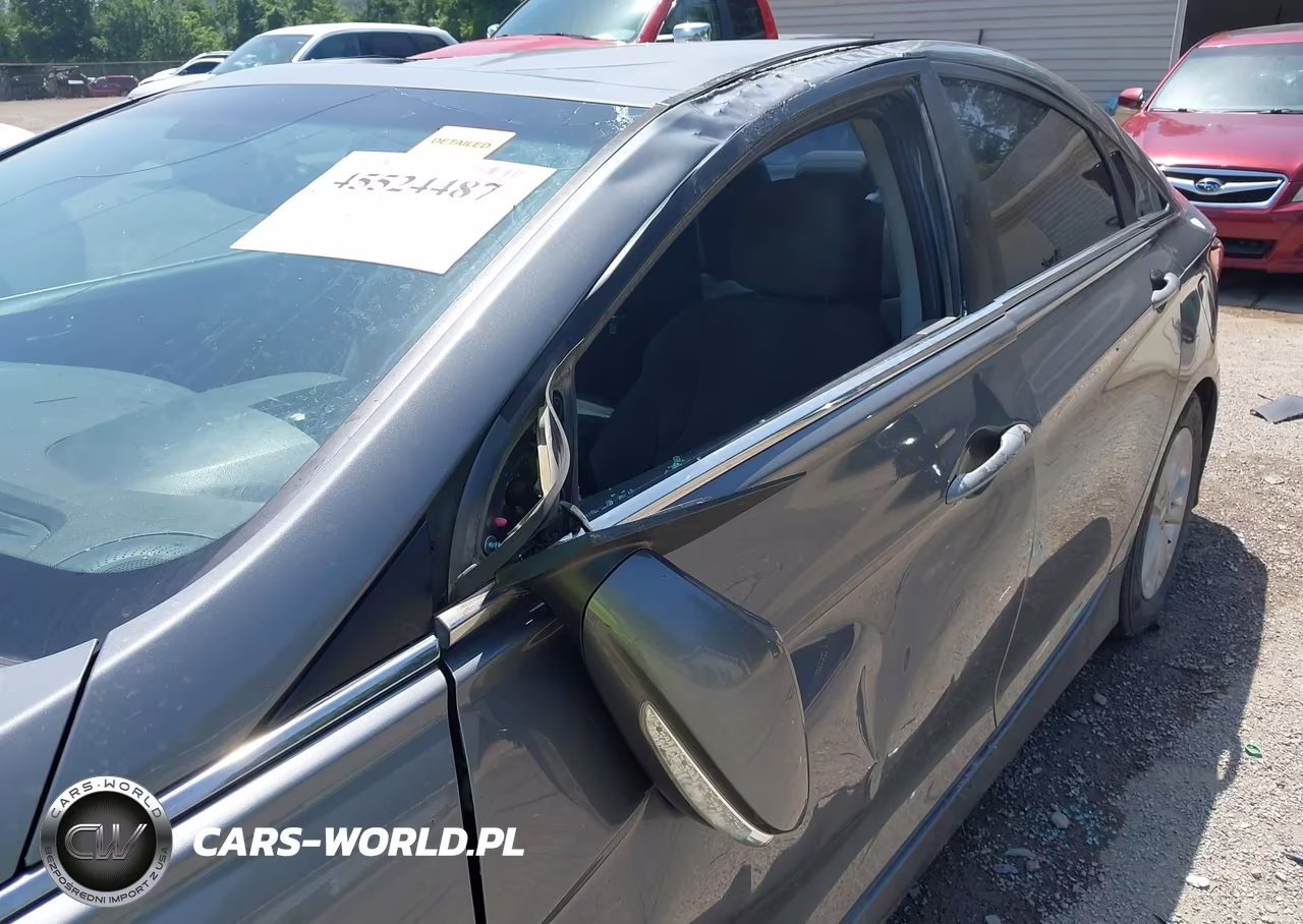 2014 Hyundai Sonata Gls VIN:5NPEB4AC4EH907943 - 14