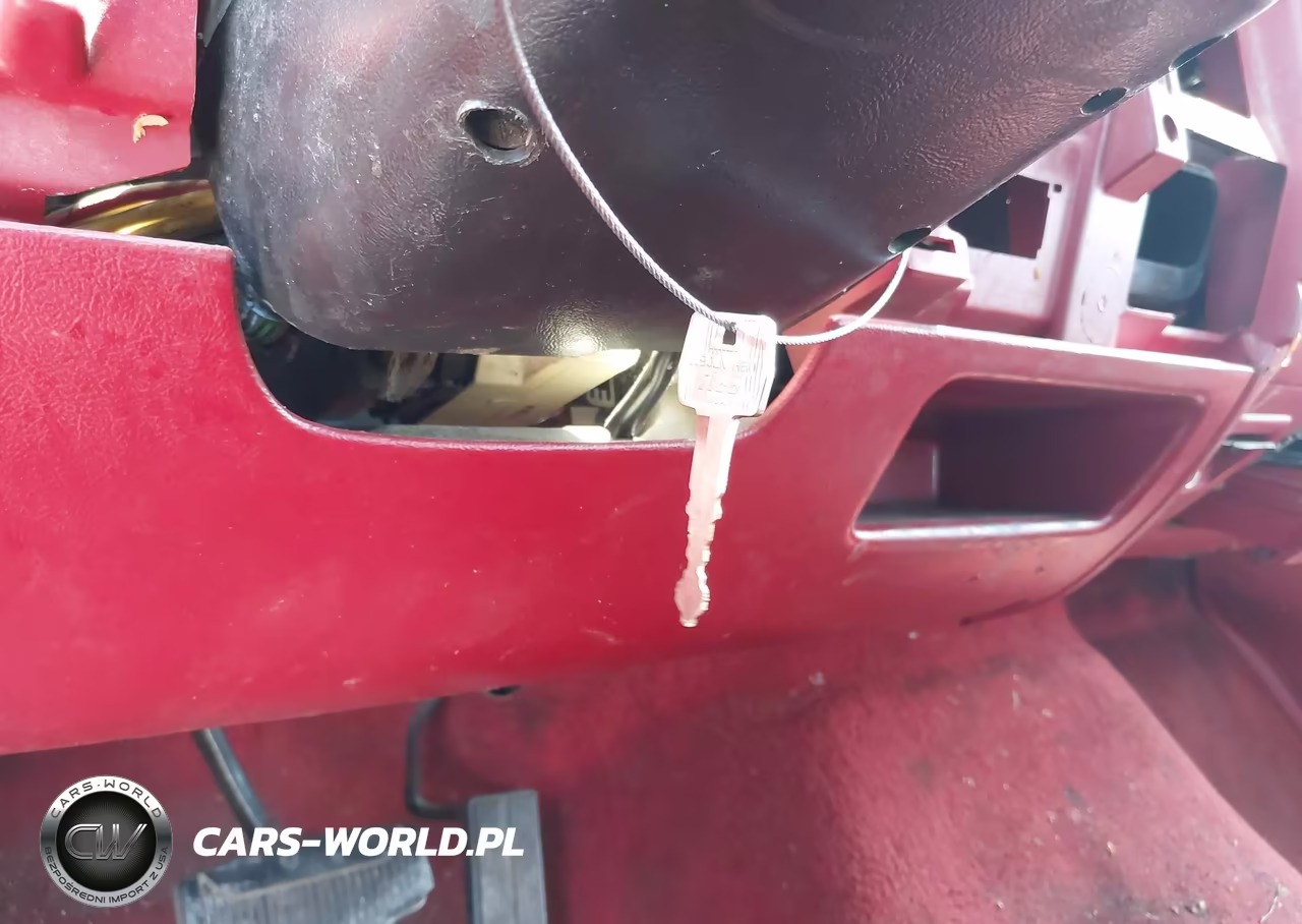 1993 Ford F150 VIN:1FTEX15N5PKA38317 - 10