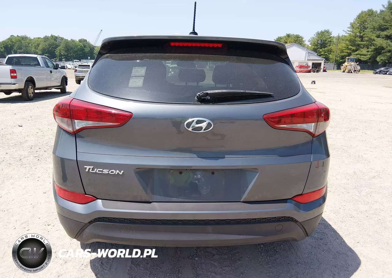 2017 Hyundai Tucson Se VIN:KM8J23A41HU303144 - 16