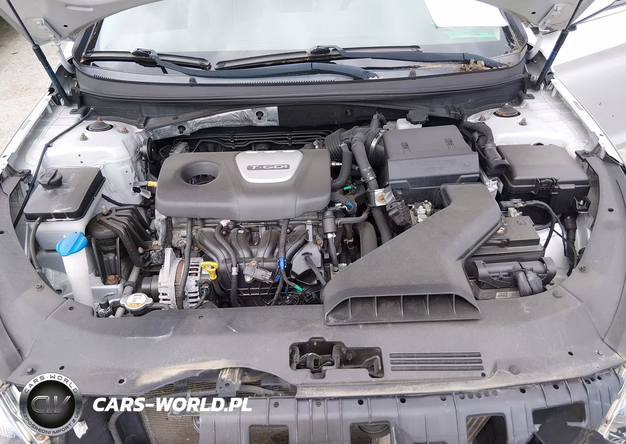 2018 Hyundai Sonata Eco VIN:5NPE24AA0JH715959 - 10