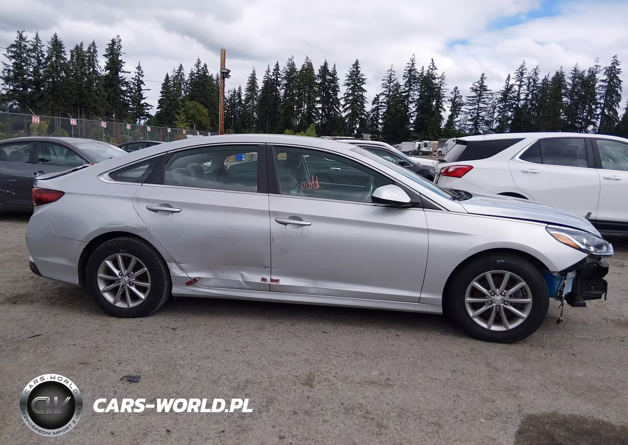 2018 Hyundai Sonata Eco VIN:5NPE24AA0JH715959 - 17