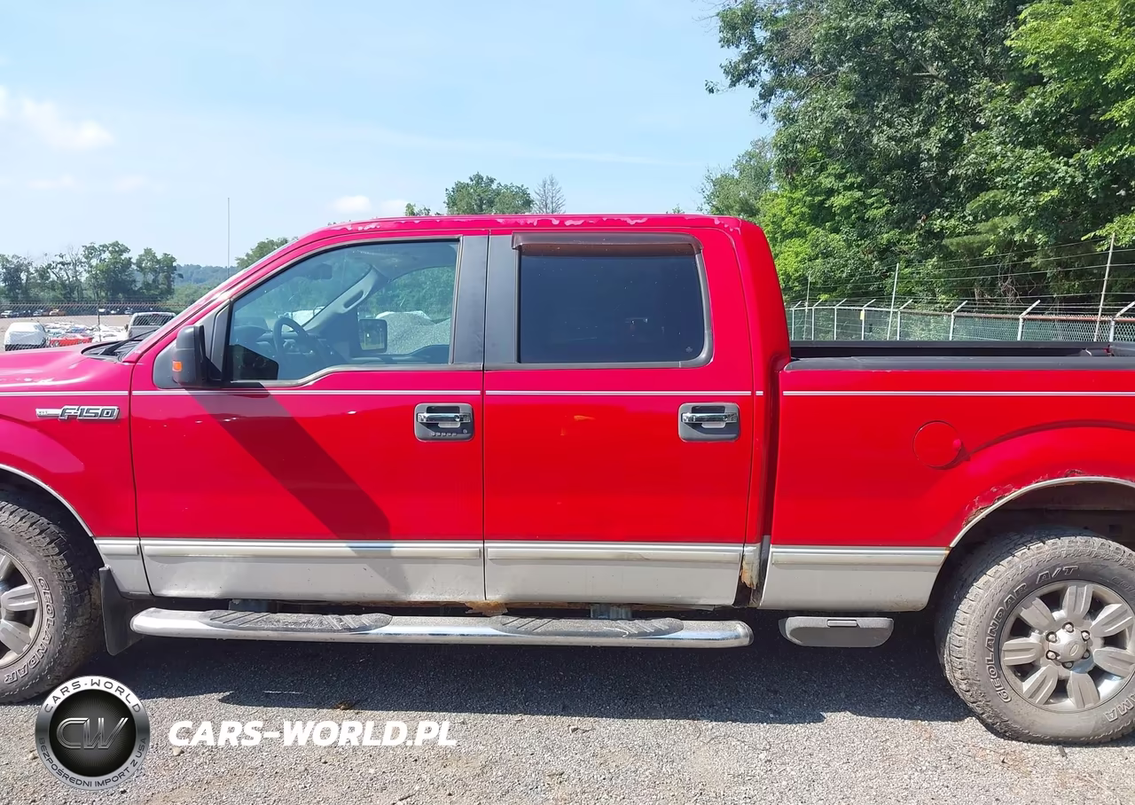 2009 Ford F-150 Fx4-King Ranch-Lariat-Platinum-Xl-Xlt VIN:1FTPW14V79FB06190 - 15