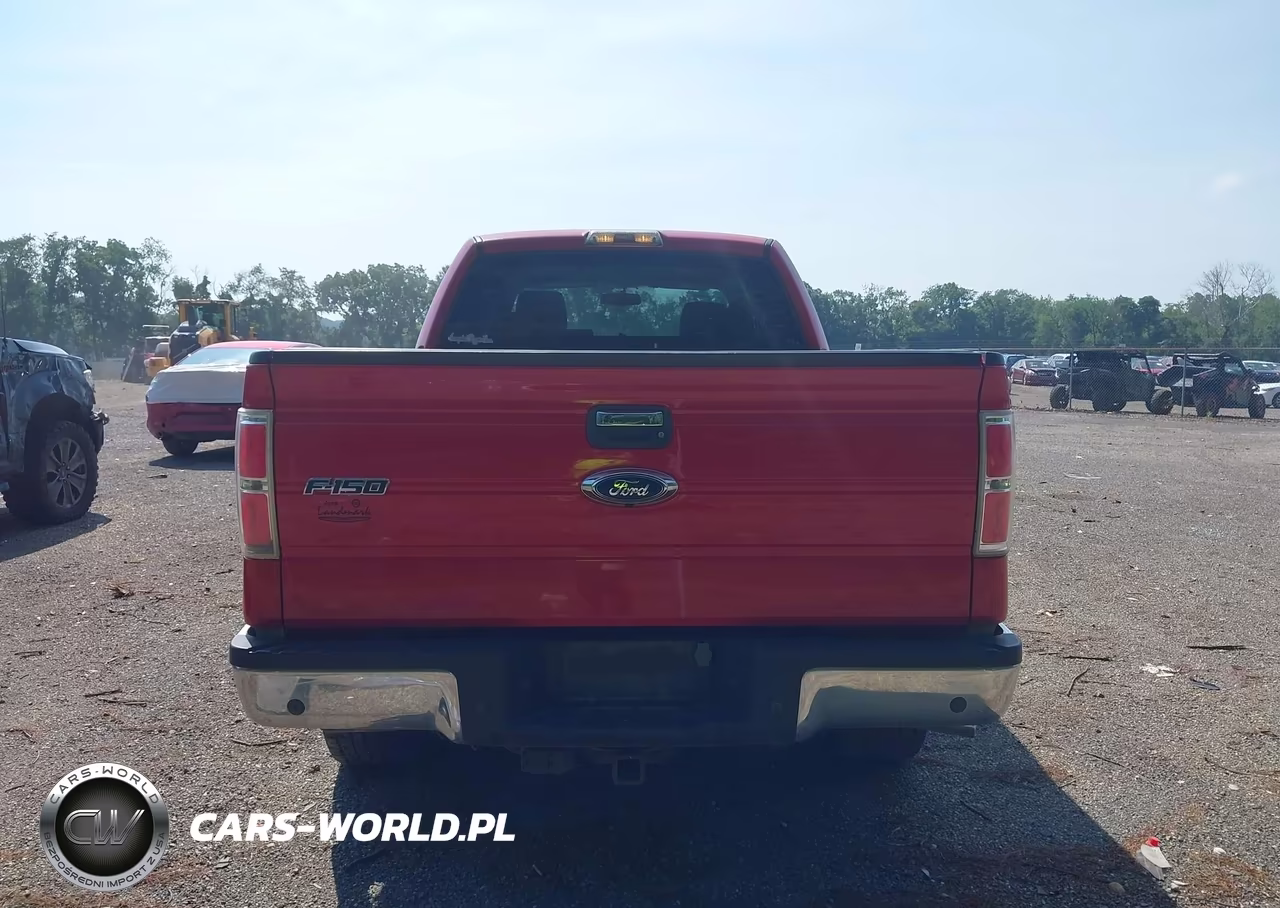 2009 Ford F-150 Fx4-King Ranch-Lariat-Platinum-Xl-Xlt VIN:1FTPW14V79FB06190 - 17