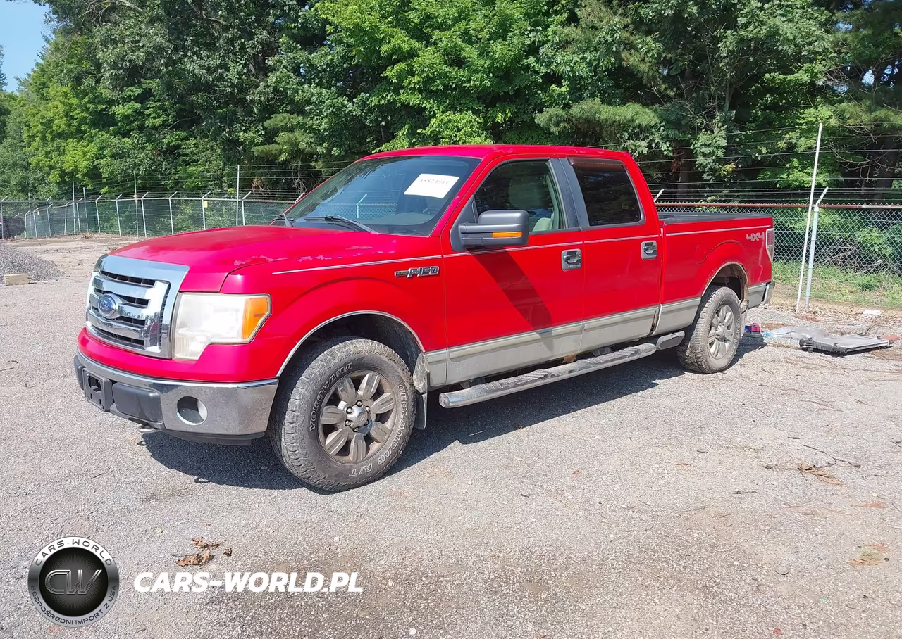 2009 Ford F-150 Fx4-King Ranch-Lariat-Platinum-Xl-Xlt VIN:1FTPW14V79FB06190 - 2