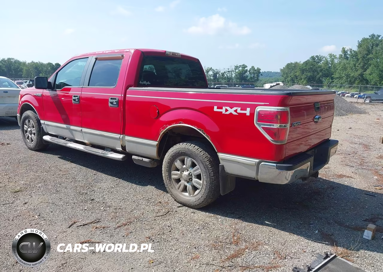 2009 Ford F-150 Fx4-King Ranch-Lariat-Platinum-Xl-Xlt VIN:1FTPW14V79FB06190 - 3