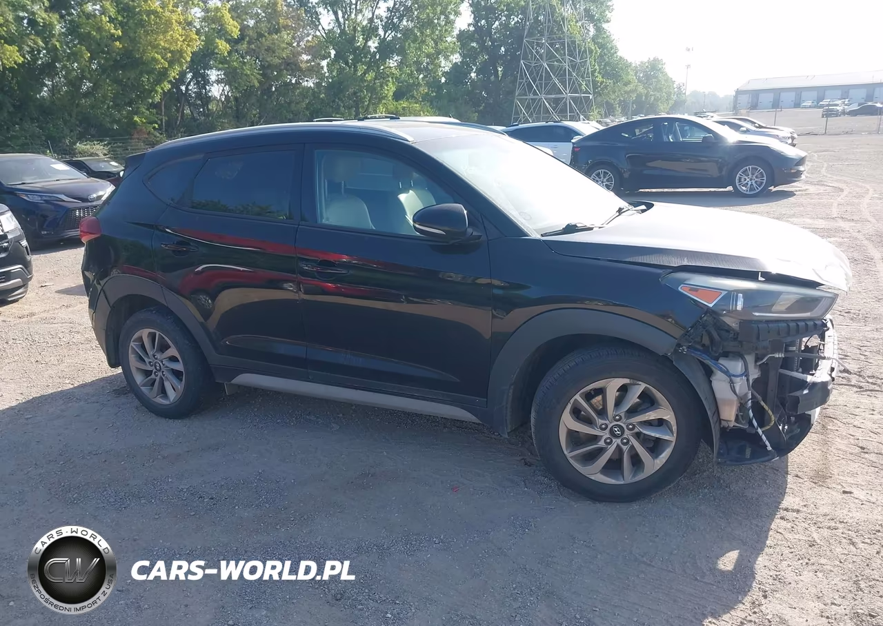 2018 Hyundai Tucson Sel Plus VIN:KM8J3CA49JU613190 - 13