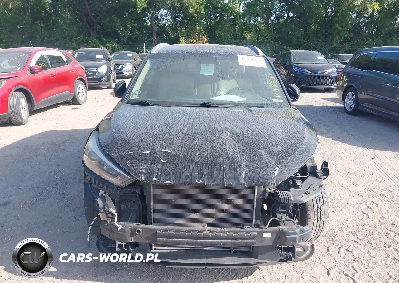 2018 Hyundai Tucson Sel Plus VIN:KM8J3CA49JU613190 - 17
