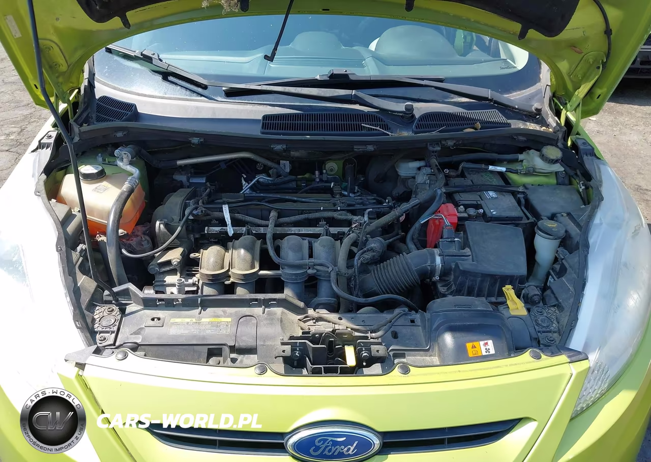 2011 Ford Fiesta Se VIN:3FADP4EJ9BM185922 - 10