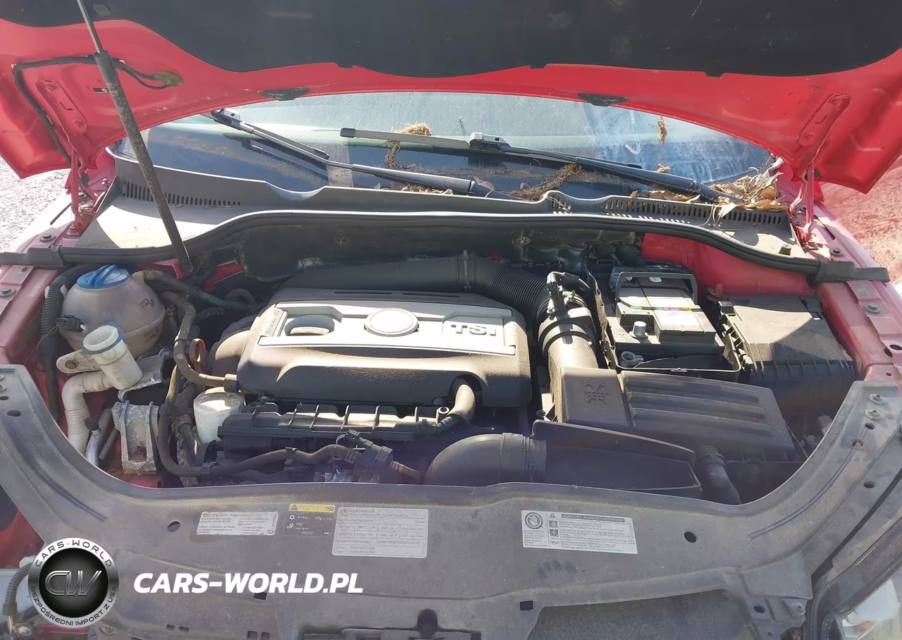 2013 Volkswagen Eos Sport VIN:WVWBW8AH7DV007305 - 10
