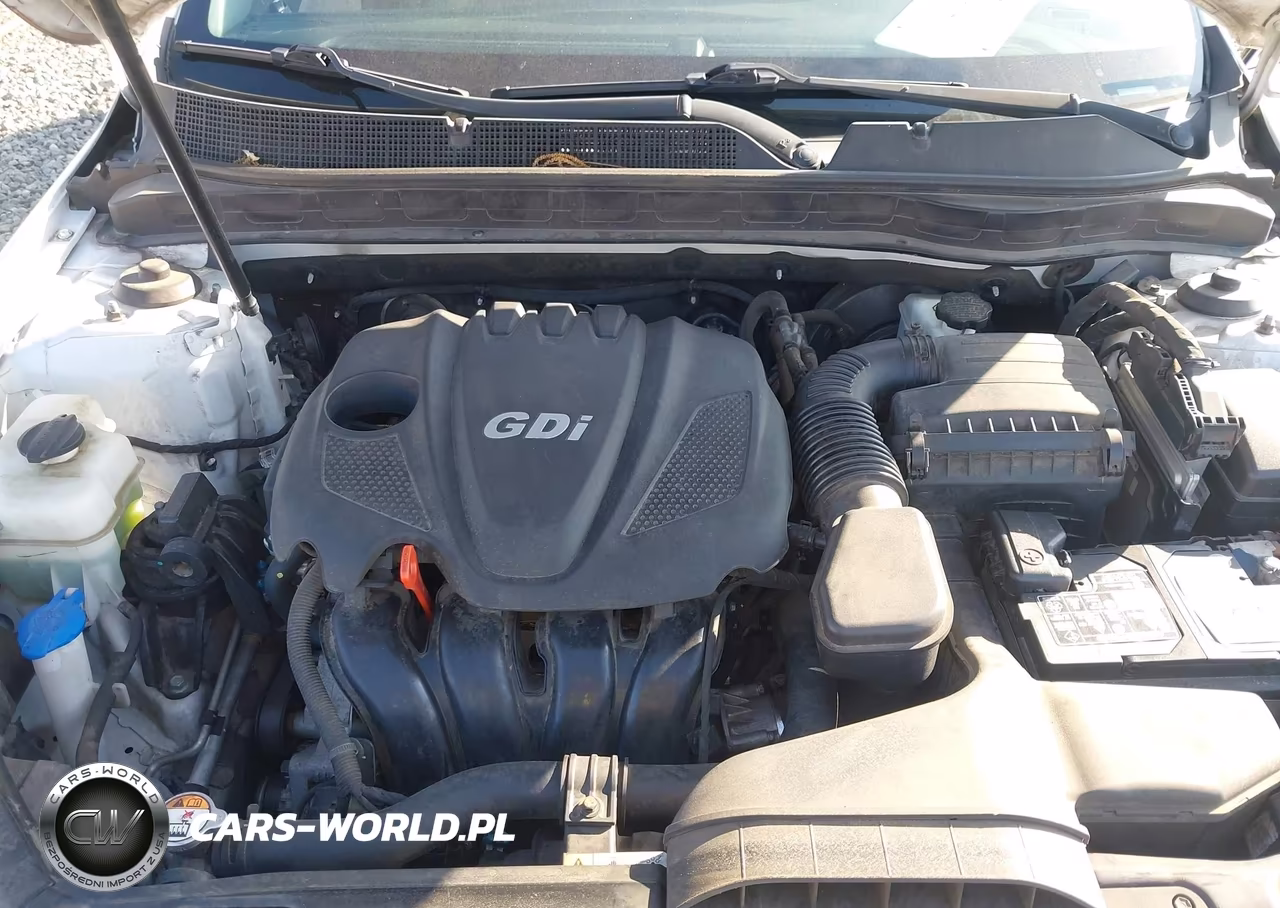 2015 Kia Optima Ex VIN:5XXGN4A70FG404829 - 10