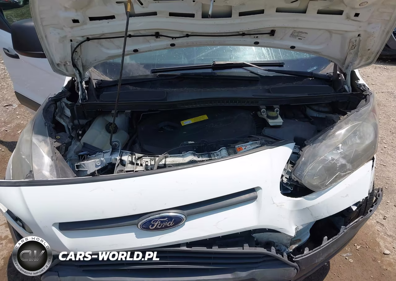 2015 Ford Transit Connect Xl VIN:NM0LS7EX1F1202805 - 10