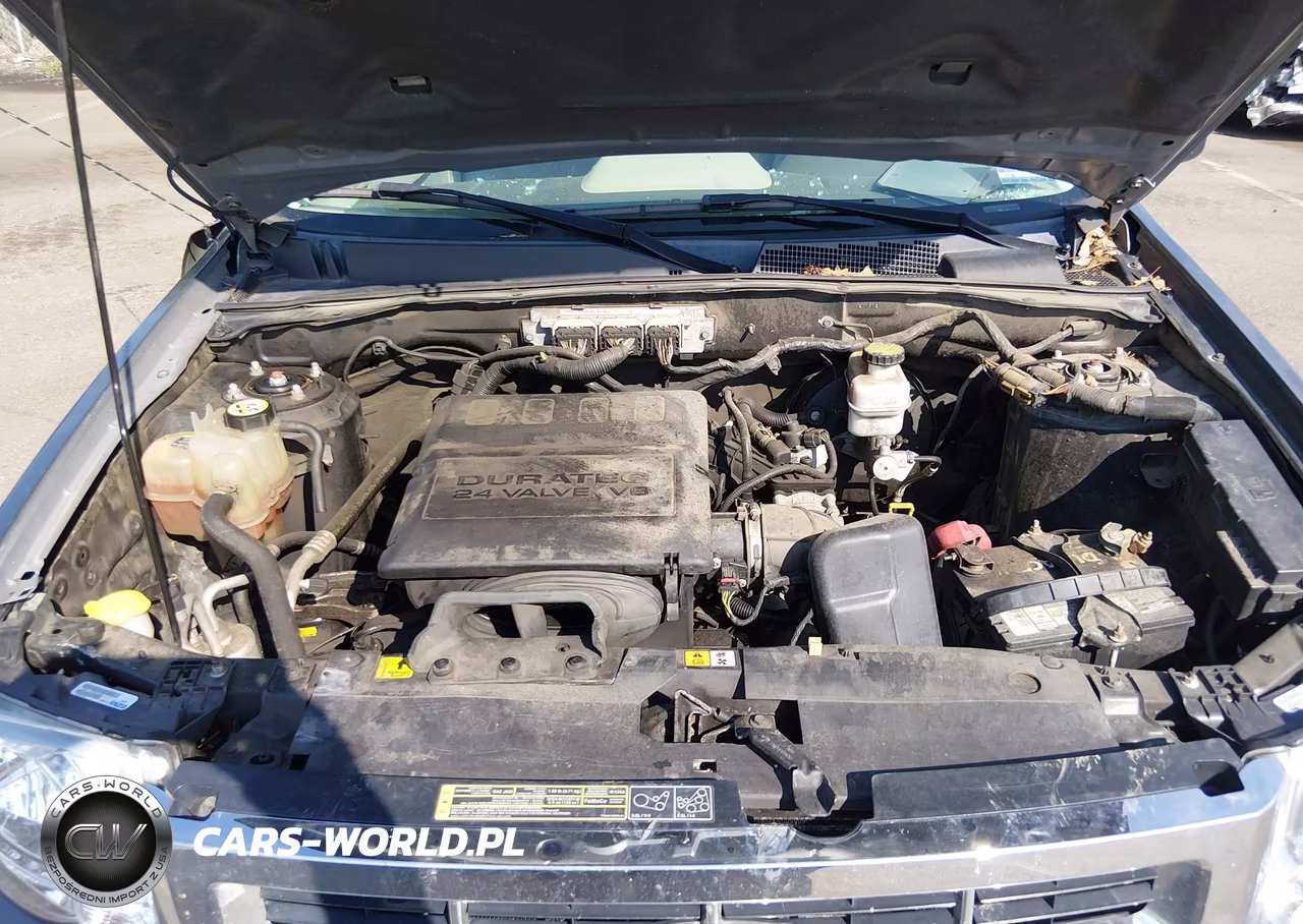 2012 Ford Escape Xlt VIN:1FMCU0DG9CKC35008 - 10