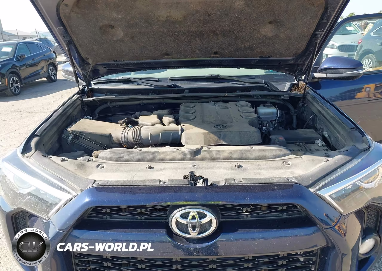 2019 Toyota 4Runner Trd Off Road Premium VIN:JTEBU5JR1K5629825 - 10