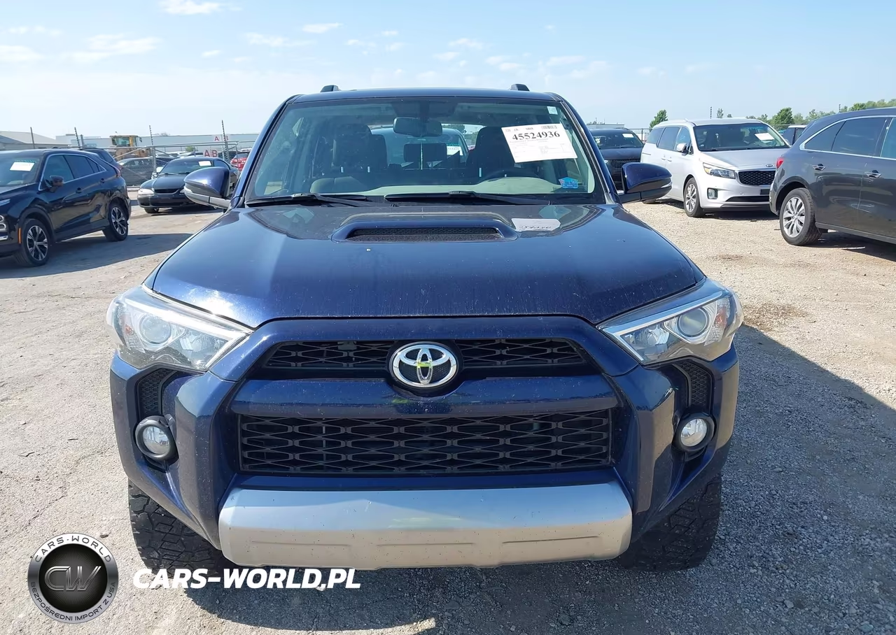2019 Toyota 4Runner Trd Off Road Premium VIN:JTEBU5JR1K5629825 - 13