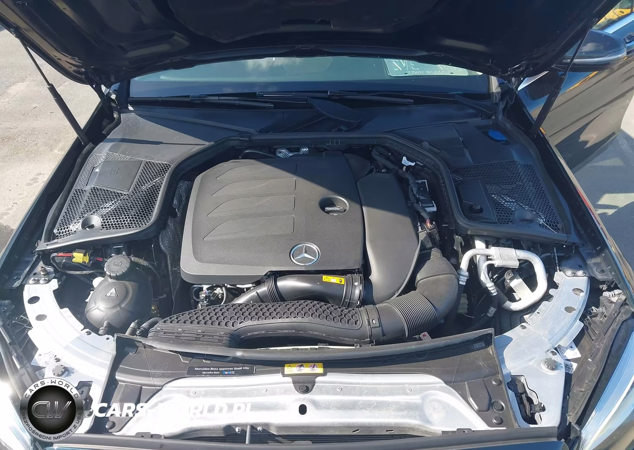 2019 Mercedes-Benz C 300 VIN:55SWF8DB2KU318322 - 10