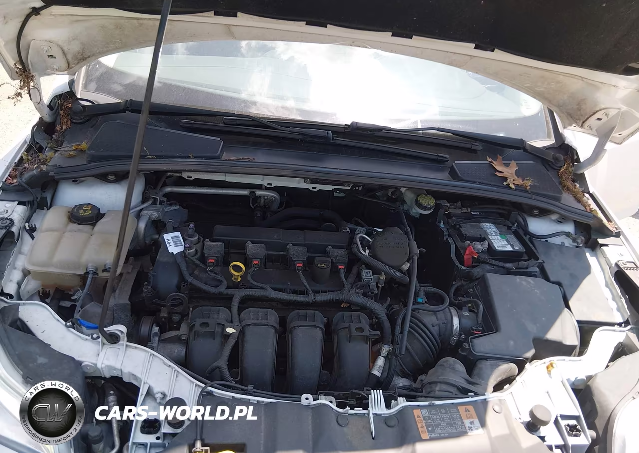 2014 Ford Focus Se VIN:1FADP3F23EL425134 - 10
