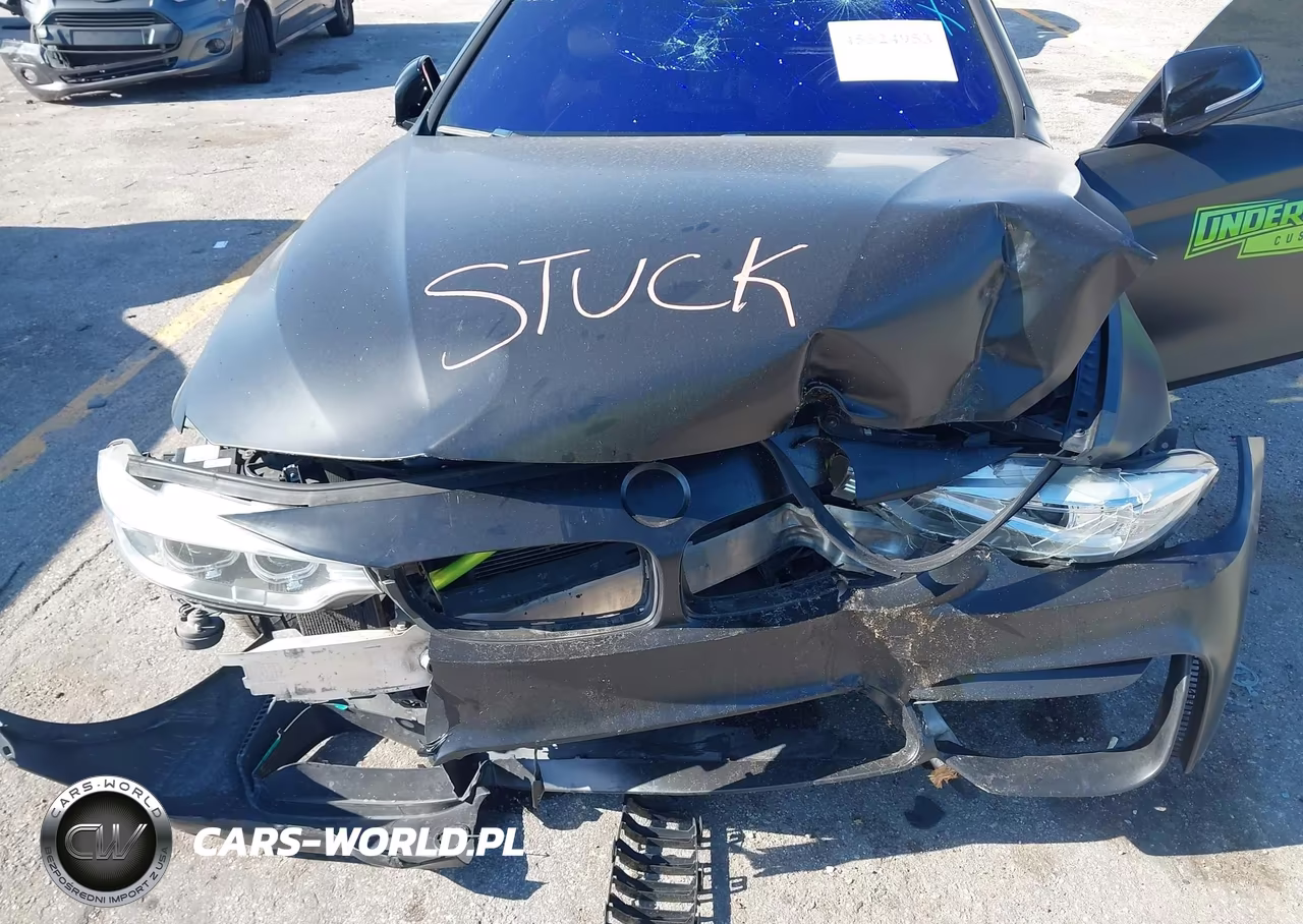 2015 BMW 428I VIN:WBA3N3C54FK233266 - 10