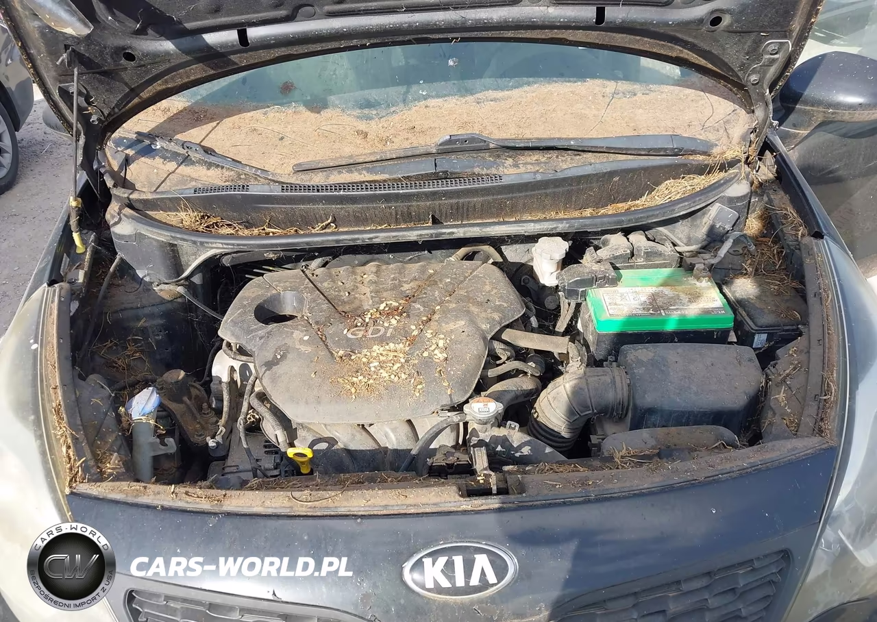 2014 Kia Rio Lx VIN:KNADM4A30E6399046 - 10