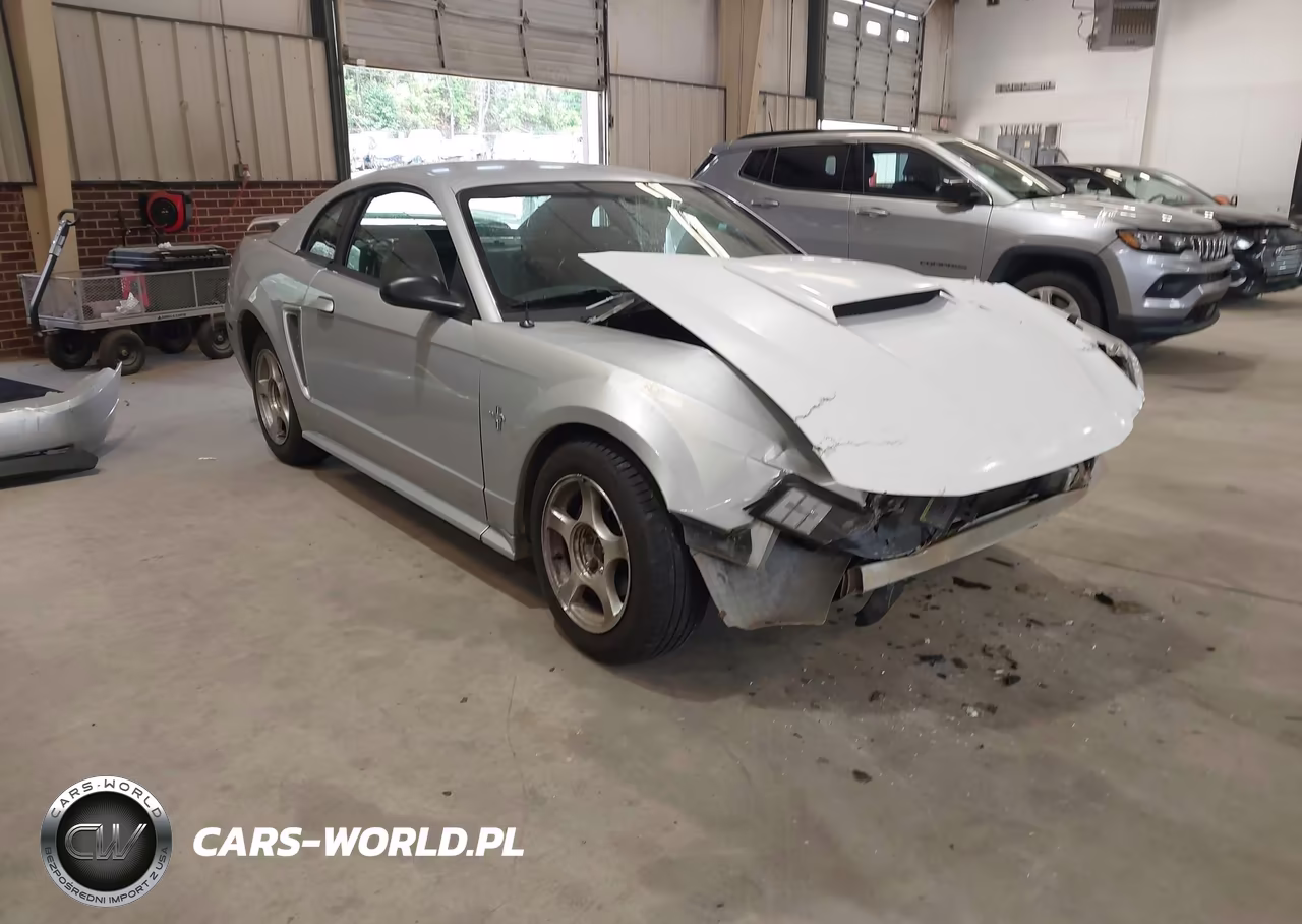 2002 Ford Mustang Deluxe-Premium-Standard
