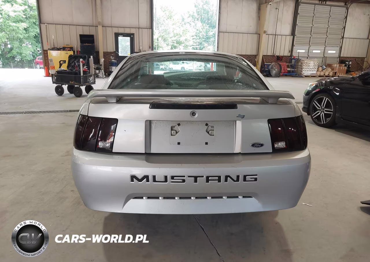 2002 Ford Mustang Deluxe-Premium-Standard VIN:1FAFP40482F169849 - 17