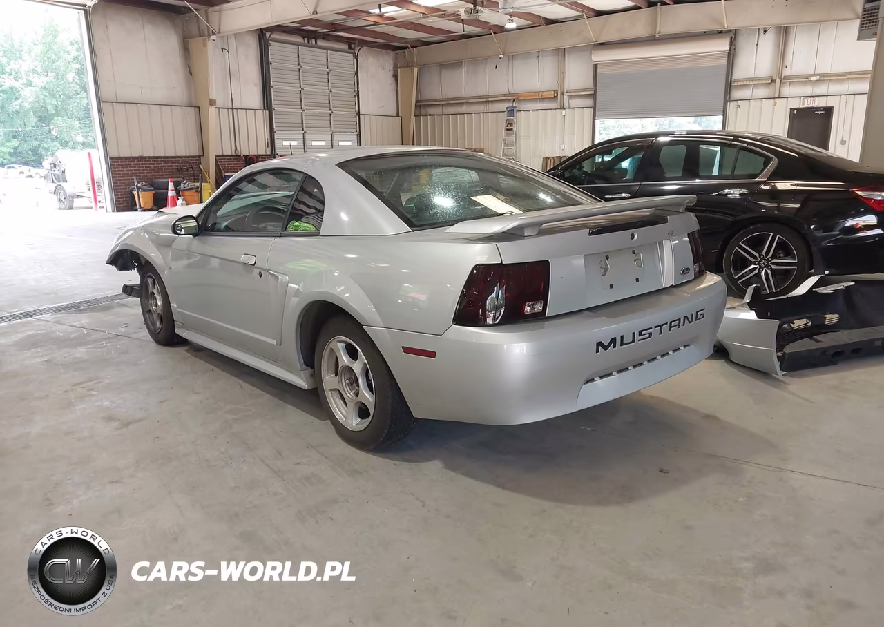 2002 Ford Mustang Deluxe-Premium-Standard VIN:1FAFP40482F169849 - 3