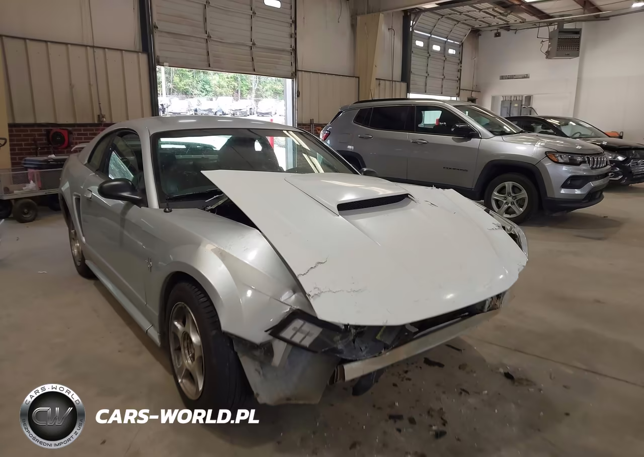 2002 Ford Mustang Deluxe-Premium-Standard VIN:1FAFP40482F169849 - 6