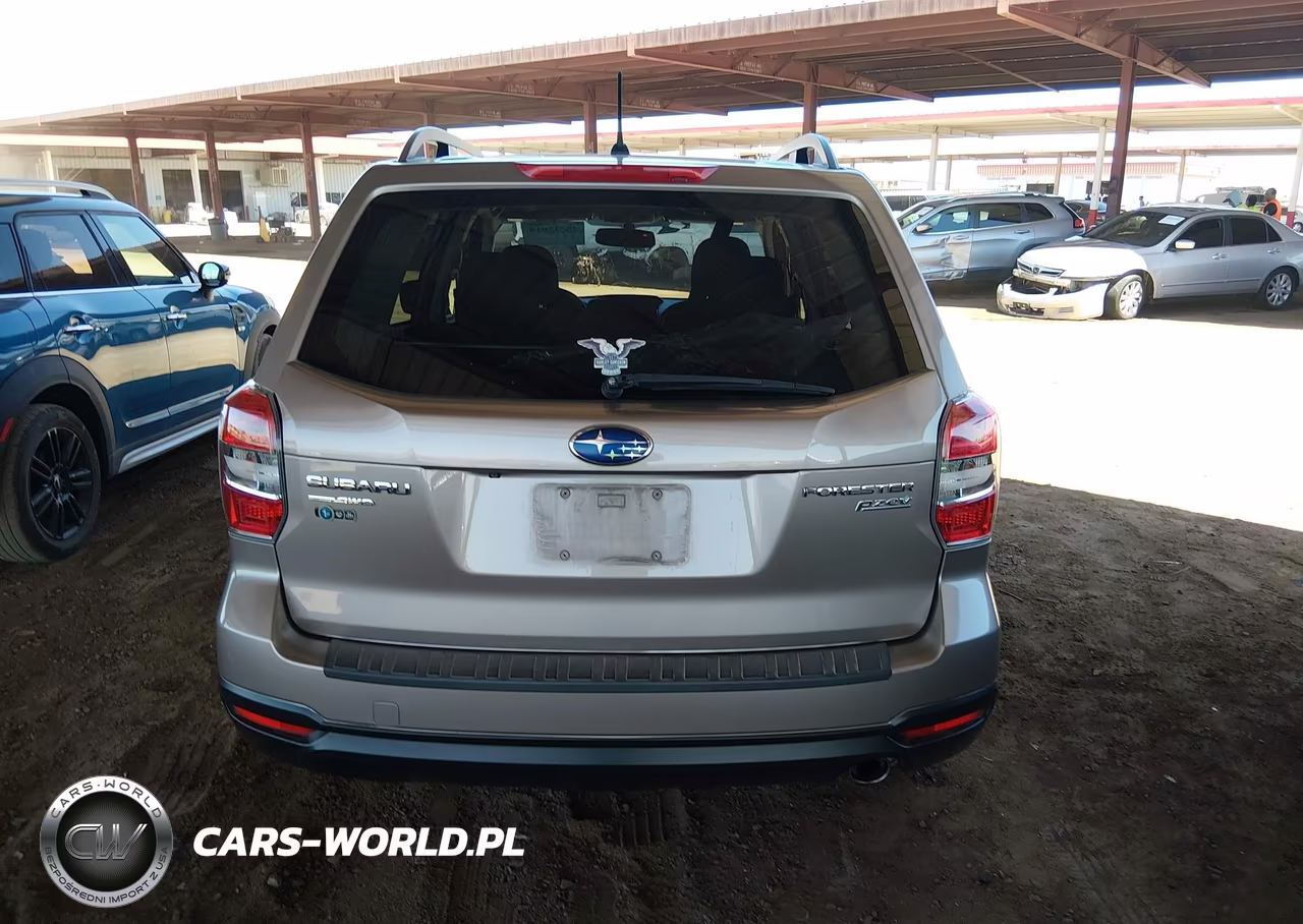 2015 Subaru Forester 2.5I Premium VIN:JF2SJADC1FH805419 - 16