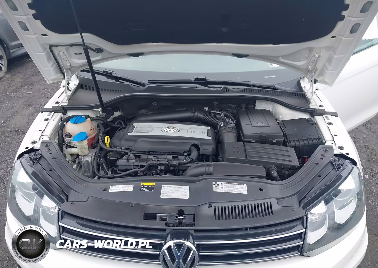 2014 Volkswagen Eos Executive VIN:WVWFW8AHXEV000674 - 10