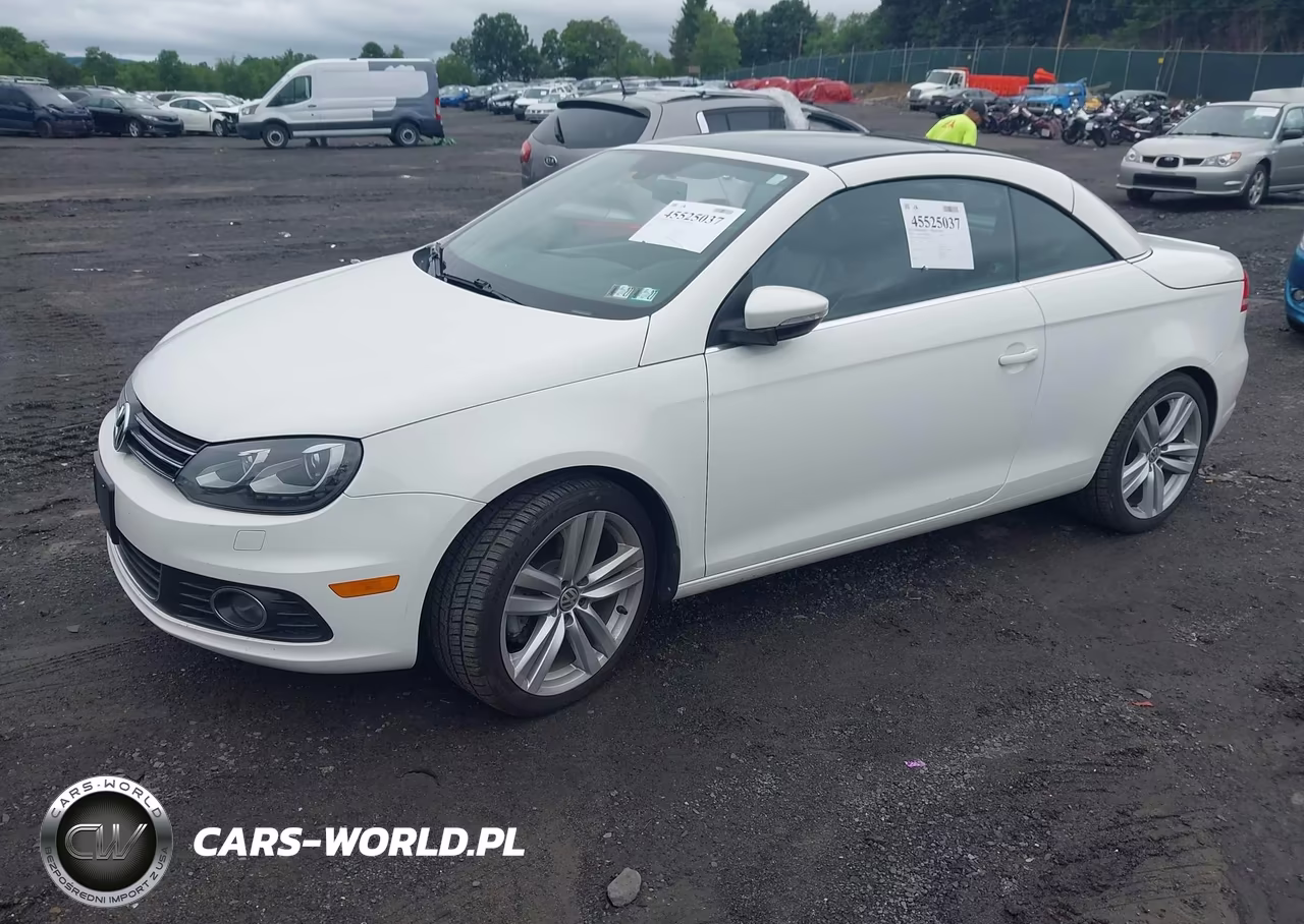 2014 Volkswagen Eos Executive VIN:WVWFW8AHXEV000674 - 2